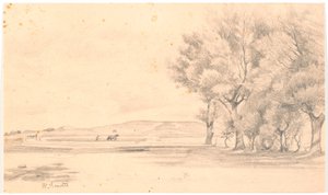 Sürülmüş tarlalarla peyzaj; t.h. uzun ağaçlar by Hans Smidth
