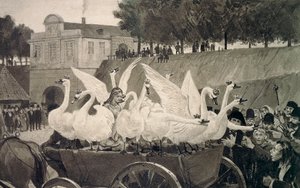 Yabani Kuğular, Hans Tegner (1853-1932) tarafından Hans Christian Andersen (1805-1875) tarafından peri masalı için illüstrasyon by Hans Tegner