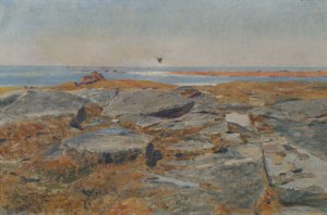 Concarneau'da Eğitim
