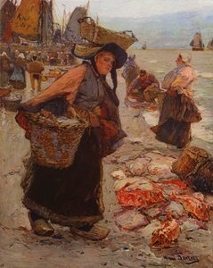 Hollanda Balık Pazarı (renkli taş)