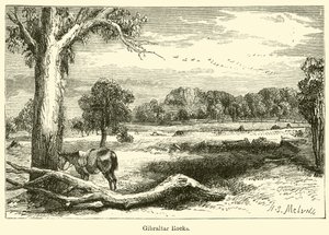 Cebelitarık Kayaları (gravür) by Harden Sidney (after) Melville