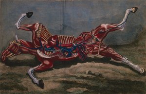 Claude Fessard tarafından oyulmuş Philippe-Etienne Lafosse (1738-1820) tarafından 