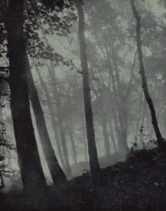 alacakaranlık korularının kemerli yürüyüşleri Ve kahverengi gölgeler… Çamdan veya anıtsal meşeden, Milton (s/b fotoğraf) by Harold Burdekin