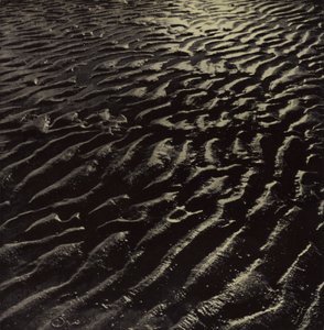 nervürlü deniz kumu, Coleridge (s/b fotoğraf) by Harold Burdekin