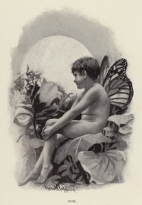 disk by Harold Copping
