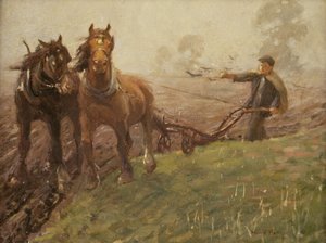 Tarla süren adam