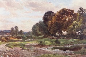 A Corner of Esher Common (renkli taş baskı) by Harold Sutton Palmer