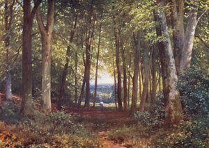 Deer-Leap Wood, Wotton (renkli litografi) by Harold Sutton Palmer