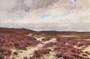 Frensham Common (renkli lito) by Harold Sutton Palmer
