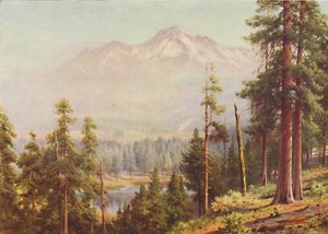 Shasta Dağı, 1916