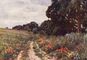 Gelincikler (renkli lito) by Harold Sutton Palmer