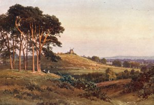 Reigate Heath, Akşam (renkli lito) by Harold Sutton Palmer