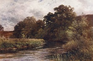 Tilford yakınlarındaki Hankley Common