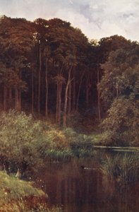 Woodland Depths, Wotton (renkli lito) by Harold Sutton Palmer