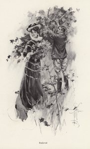 Bir erkek hayranıyla çiçek toplayan kadın (lito) by Harrison Fisher