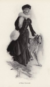 Kışın kaba kömür ocağı köpeğini yürüyen kadın (lito) by Harrison Fisher