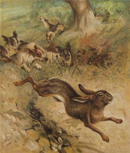Yaşam İçin Bir Koşu (chromolitho) by Harrison William Weir