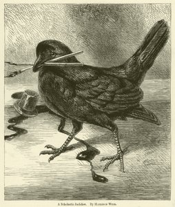 Bir Skolastik Küçük Karga by Harrison William Weir