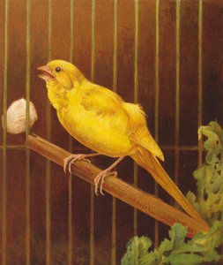  by Harrison William Weir