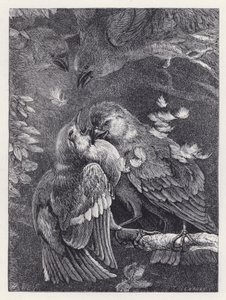 İspinoz ile Serçenin Savaşı (gravür) by Harrison William Weir