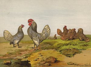 Altın ve Gümüş Bağcıklı Bantams (chromolitho) by Harrison William Weir