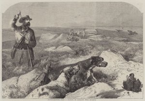 Orman Tavuğu Çekimi (gravür) by Harrison William Weir