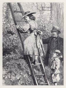 Harriet Robins' Nest'te Peeps (gravür) by Harrison William Weir