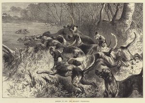 Vurmak, Mid-Kent Staghounds by Harrison William Weir
