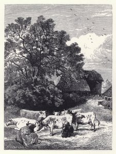 İnekleri Sağmak (gravür) by Harrison William Weir