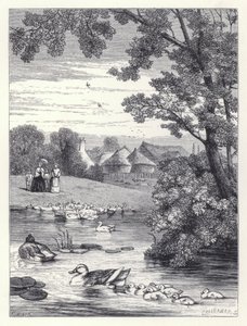 Ördek Göleti (gravür) by Harrison William Weir