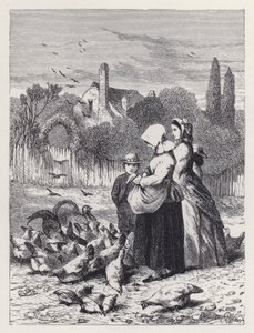 Poultry Yard (gravür) by Harrison William Weir