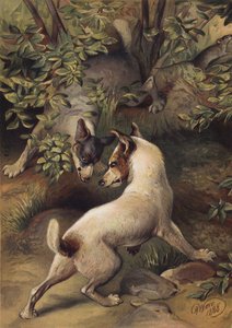 Su içmek için bir havuza ulaşmaya çalışan iki köpek (chromolitho) by Harrison William Weir