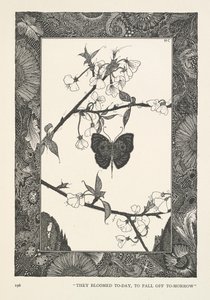 Kelebek. Bugün çiçek açtılar, yarın dökülecekler. by Harry Clarke