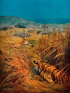 Kaplanlar - Kızılderili Köylerinin Terörü, 1913 by Harry Dixon