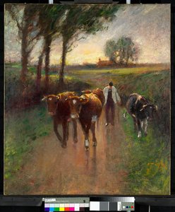 İnekleri Meraya Sürmek