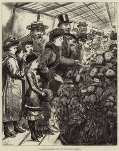 Tapınak Bahçelerinde Krizantem Gösterisi by Harry Furniss