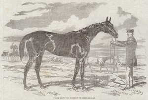 Derby ve Oaks