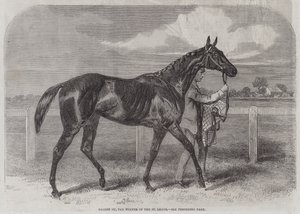 Arayan Ou, St Leger'in Kazananı by Harry Hall