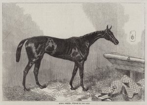 ರಾಣಿ ಬರ್ತಾ, ಓಕ್ಸ್ ಟರ್ಕಿಯ ವಿಜೇತ