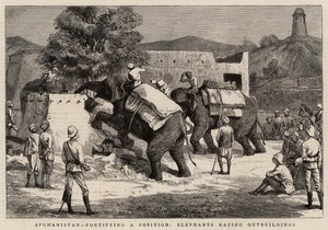 Afganistan, bir Mevkii güçlendiriyor, Filler Müştemilatı yerle bir ediyor by Harry Hamilton Johnston