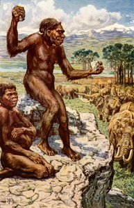 Neandertal İnsanlığı