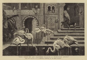 Bir Doğu Sarayının Evcil Hayvanları, Bir Tunus Araştırması by Harry Hamilton Johnston