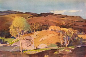 Glen Cannich