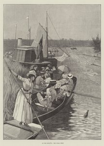 Regatta