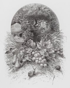 Böcek: Salyangoz (gravür) by Hector Giacomelli