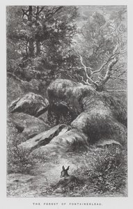 Böcek: Fontainebleau Ormanı (gravür) by Hector Giacomelli