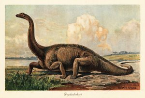 Ovalarda soyu tükenmiş Diplodocus longus.