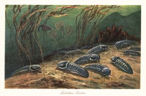 Okyanus tabanında soyu tükenmiş trilobitler. by Heinrich Harder