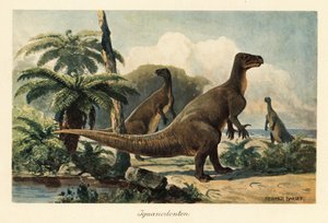 Iguanodon bernissartensis, tarih öncesi bir eğrelti otu ormanında.