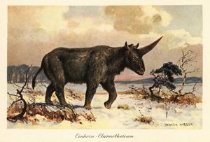 Sibirya tek boynuzlu at, Elasmotherium sibiricum, karlı bir ovada.